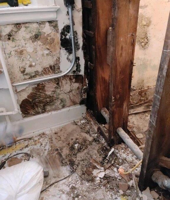 Mold Removal – Lower Bathroom and Laundry Room